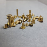 Brass Binding Screws